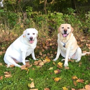 Meet your Posher, Timothy